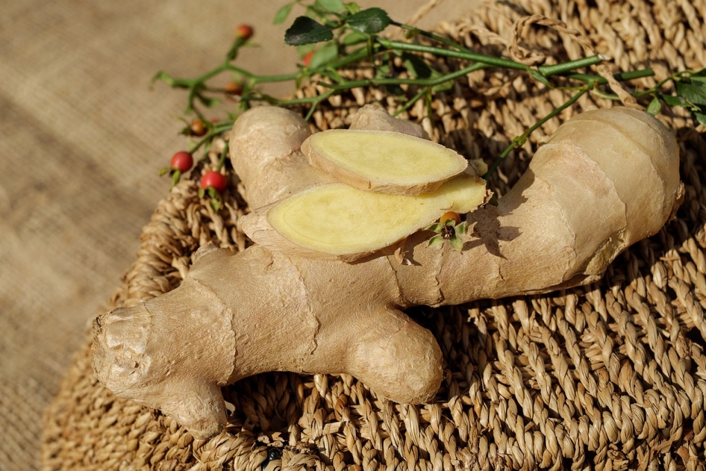 El camote es fruta o verdura Descúbrelo y quítate de la duda aquí