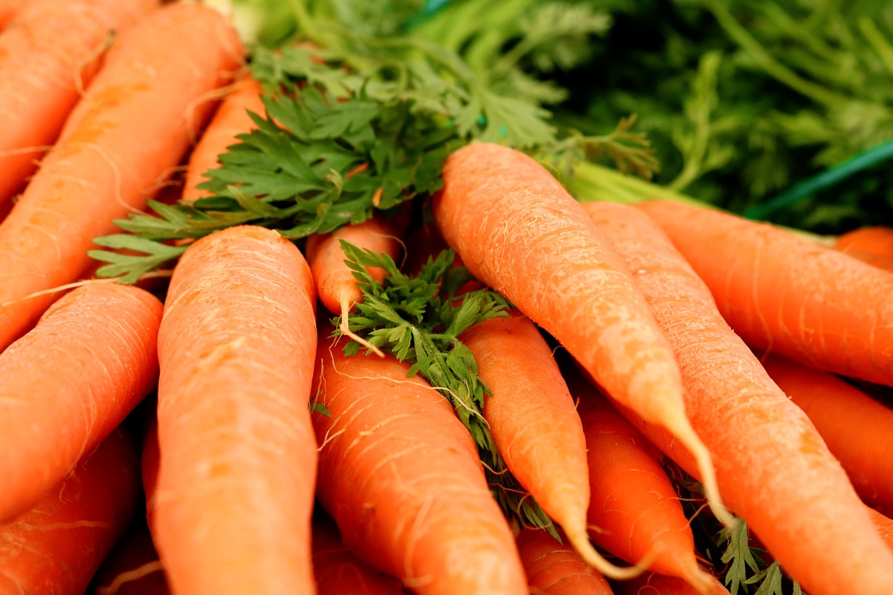 Beneficios de la zanahoria » Huerto en casa
