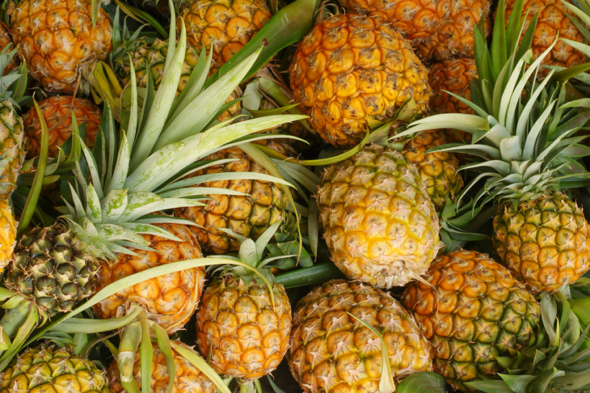 Todo sobre la piña » Huerto en casa