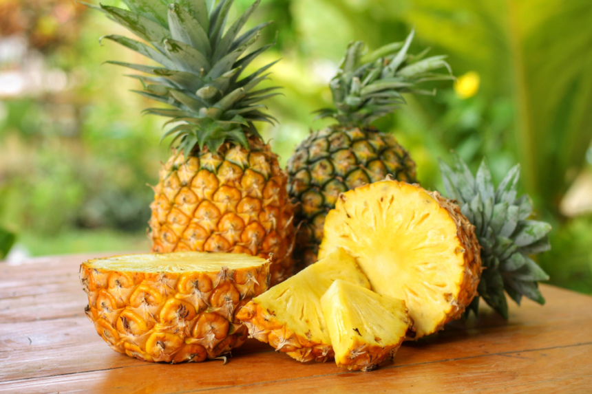 ¿Cómo germinar una piña? » Huerto en casa