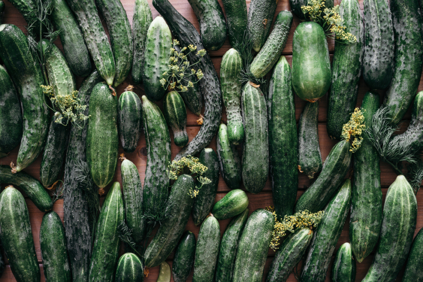 Tipos y variedades de pepino » Huerto en casa