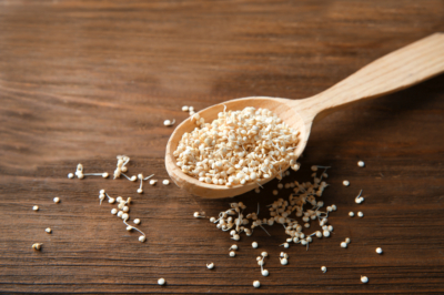 como-germinar-quinoa