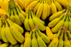 diferencia-entre-platano-y-banana