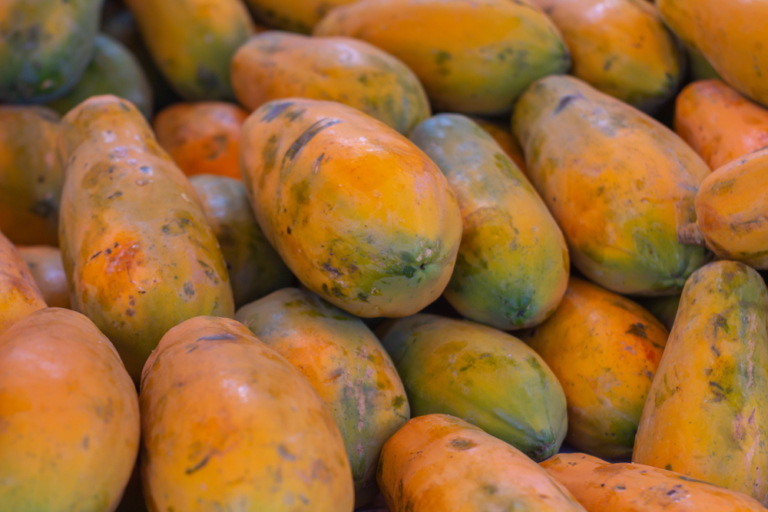 35 Semillas De Papaya Enano - ¡Para Cultivar Tu Propia Papaya En Casa, Fácil Y Divertido!