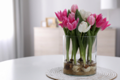 como-cuidar-tulipanes-en-agua